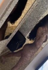 Миниатюра Индивидуалка Нимфоманка Центр города Фотография 